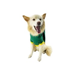 Disfraz Navidad Duende Talla S