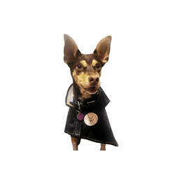 Impermeable para perro mediano Para Lluvia  Azul Marino Talla M