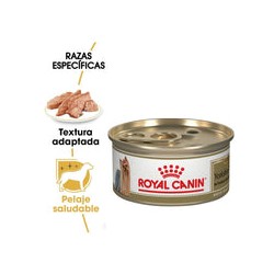 24 Latas Royal Canin Yorkshire Adult Loaf in Sauce 85 gr