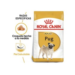 Royal Canin Perro Pug Adulto 4.5kg