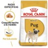 Royal Canin Perro Pug Adulto 4.5kg