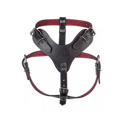 Pechera para chihuahua de Piel Color Negra Xtreme Talla 0, Fancy Pets