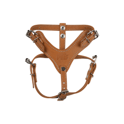 Pechera de Piel Color Cafe Xtreme Talla 1, Fancy Pets