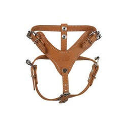 Pechera de Piel Cafe Xtreme Talla 0, Fancy Pets