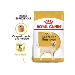 Royal Canin Perro Adulto Labrador Retriever 13.6kg