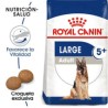 Royal Canin Maxi Large 5+ Perro Senior 13.6kg