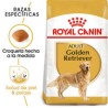 Royal Canin Golden Retriever Adulto 13.6Kg
