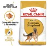Royal Canin Adulto Pastor Alemán 13.6kg