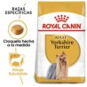 Royal Canin Yorkshire Terrier Adulto 4.5kg