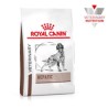 Royal Canin Vet Hepatic 3.5 kg