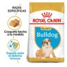 Royal Canin Bulldog Alimento para Cachorro  2.72kg