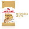 Royal Canin Pomerania 4.5kg Adulto